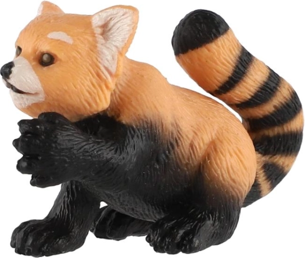 Coloration typique du panda roux