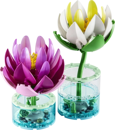 Deux fleurs de nénuphar à assembler