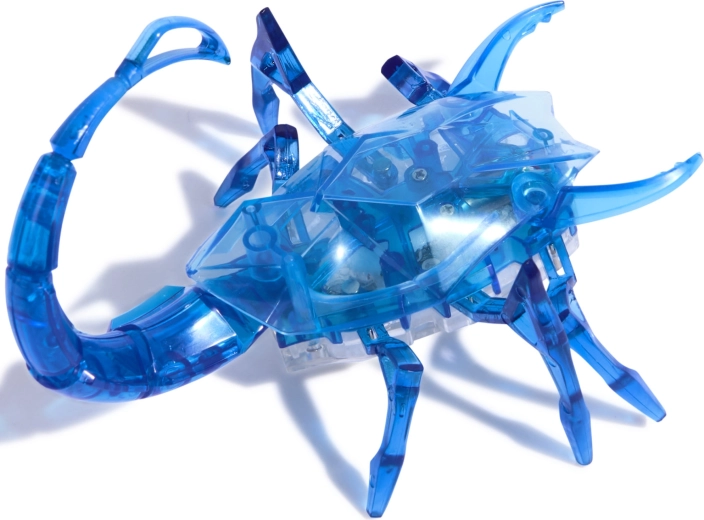 Design transparent et pattes articulées