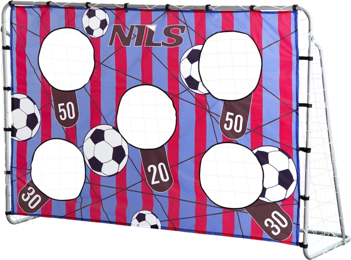But de football avec panneau d’entraînement NILS NT7788