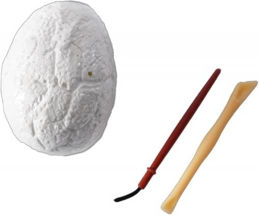 Des outils sûrs pour les petits explorateurs