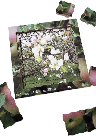 Photographies réelles de la nature