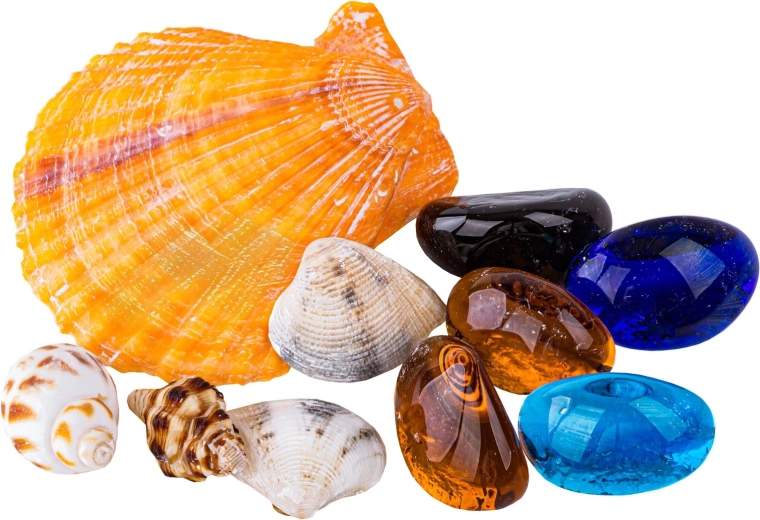 Trésors à l’intérieur : pierres et coquillages