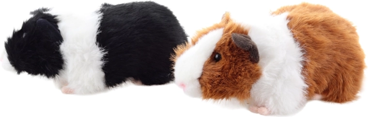 Format compact pour les voyages et le lit