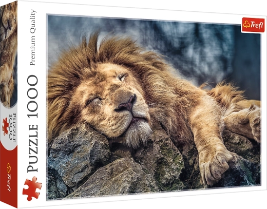 Puzzle 1000 pièces Lion endormi
