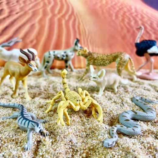 Conception sûre et de qualité Safari Ltd