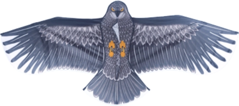 Design d’aigle réaliste