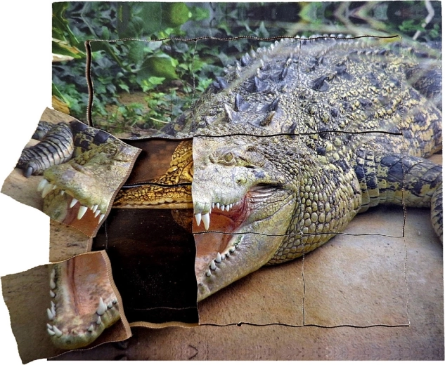 Puzzle en bois superposés Crocodile - cycle de vie