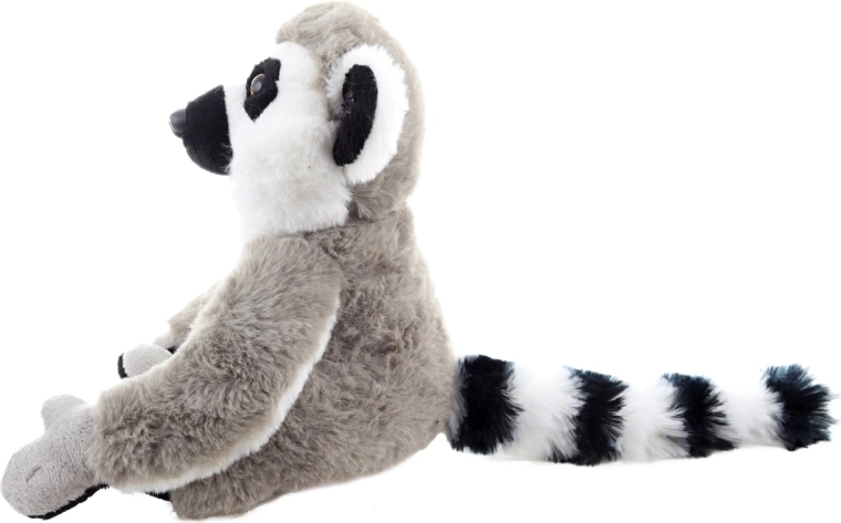 Détails réalistes et queue rayée