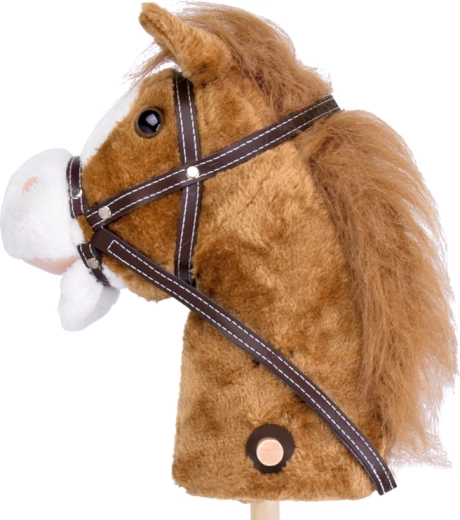 Sons de galop et de hennissement