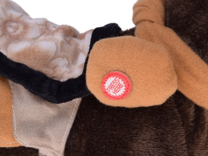 Il marche, hennit et danse sur de la country