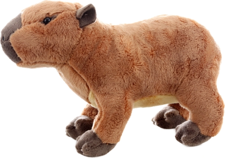 Sûre dès la naissance