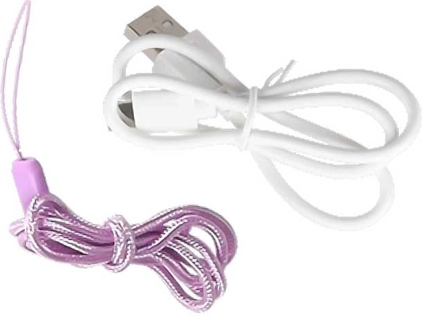 Câble USB‑C et cordon tour de cou inclus