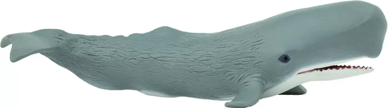 Safari Ltd. cachalot - 1 pièce