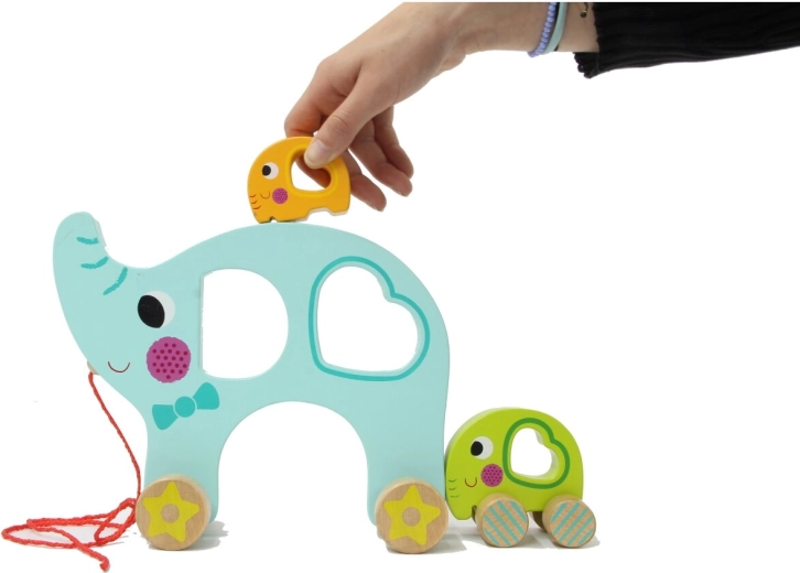 Conception en bois et apprentissage des formes