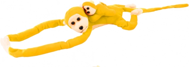 Singe avec son petit