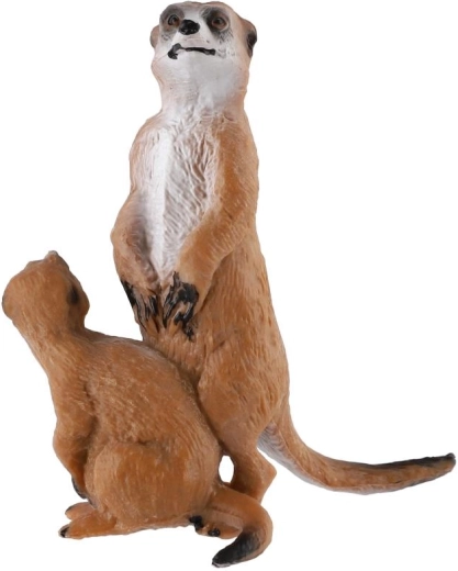 Duo de suricates réaliste