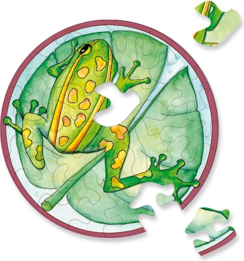 Puzzle rond CURIOSI Picoli – grenouille, 33 pièces