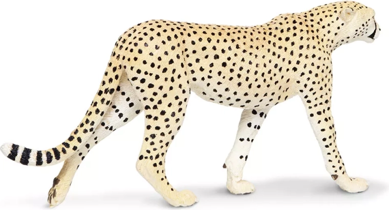 Qualité de la marque Safari Ltd.
