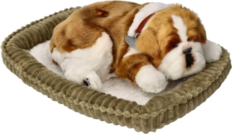 Chiot bouledogue qui respire