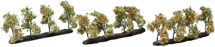Noch pommiers avec fruits 3,5 cm (12 pièces)