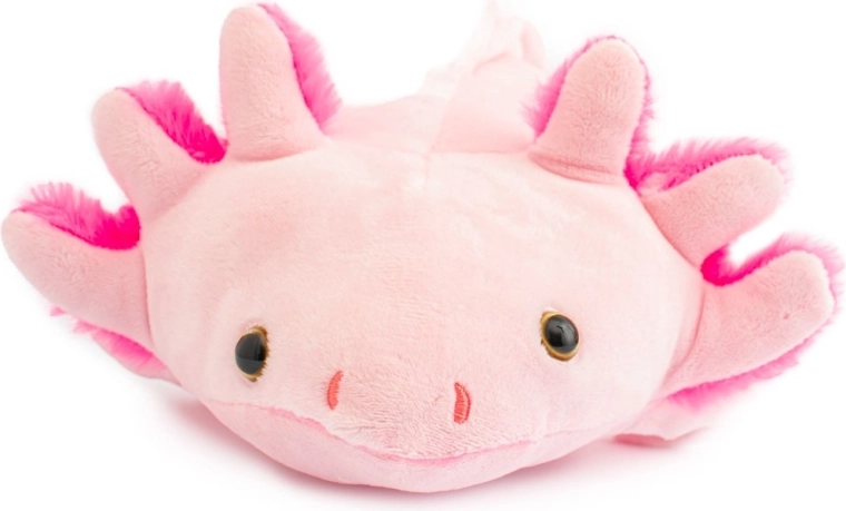 Matériaux sûrs selon les normes européennes