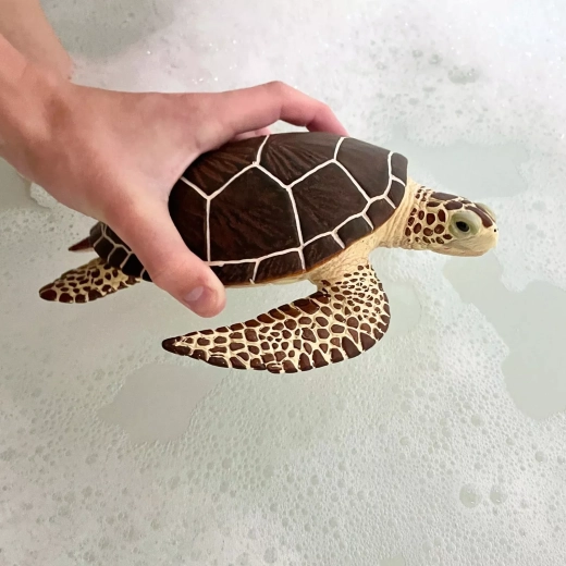 Idéale en voyage et dans le bain