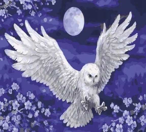 Norimpex peinture par numéros Hibou et lune 40 × 50 cm
