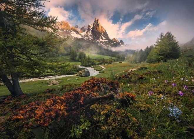 Puzzle RAVENSBURGER Nature dans la Vallée 1000 pièces