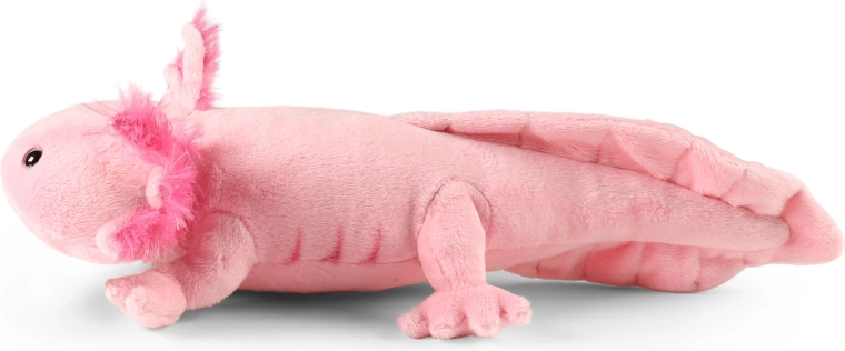 Taille 34 cm pour petits et grands câlineurs