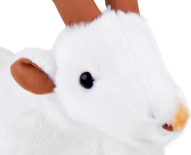 Des détails réalistes qui attirent le regard