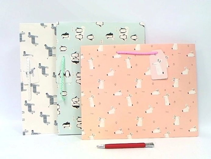 Sac cadeau JYWK 191 taille M