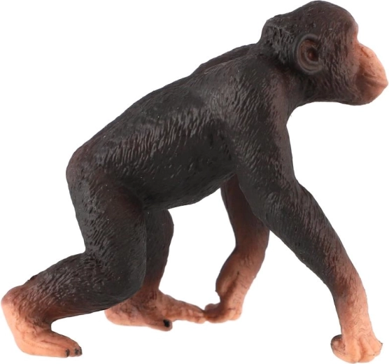 Réalisation réaliste du chimpanzé