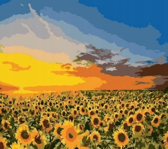 Norimpex Peinture par numéros Tournesols dans un champ 40 × 50 cm