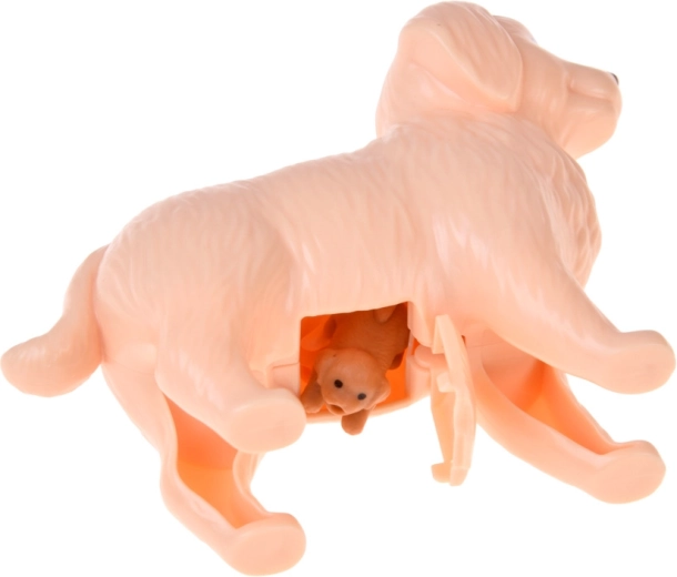 Ventre ouvrable pour les chiots