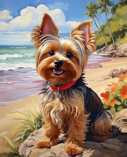 Norimpex Peinture par numéros Yorkshire à la plage 40 × 50 cm