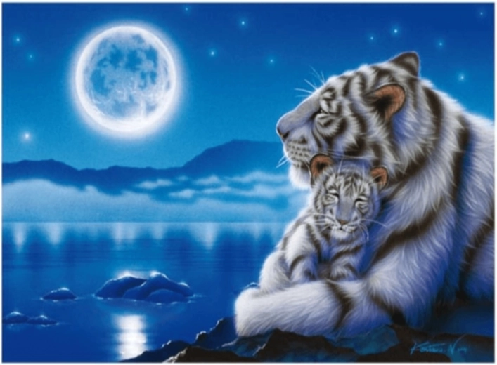 Peinture diamant – tigres blancs au clair de lune 40 × 30 cm