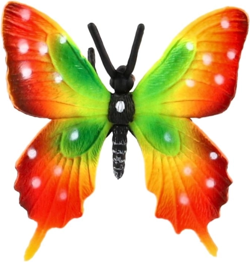 Ailes aux couleurs éclatantes