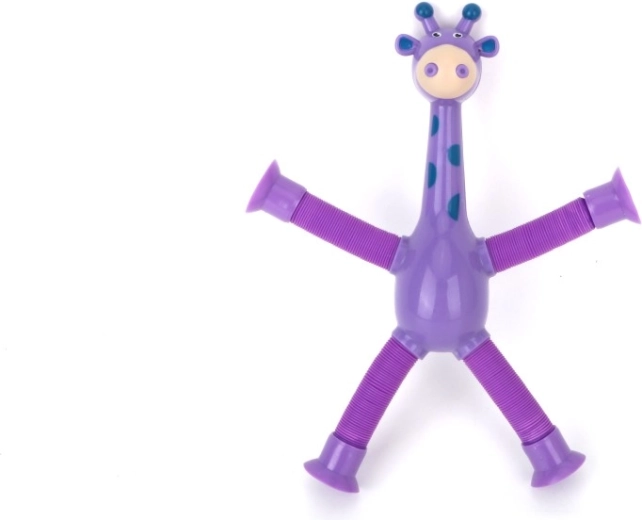 Membres extensibles et flexibles
