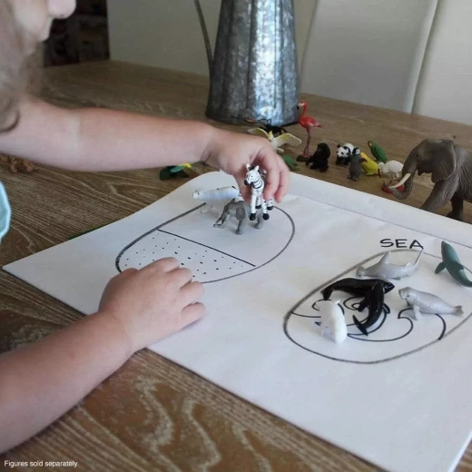 Apprendre en jouant : tri, cartes et anglais
