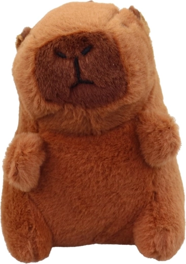 Forme compacte et mignonne