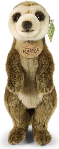 Doux, moelleux et prêt à câliner