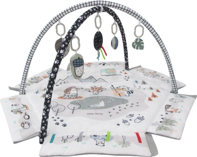 Stimulation sensorielle et motricité