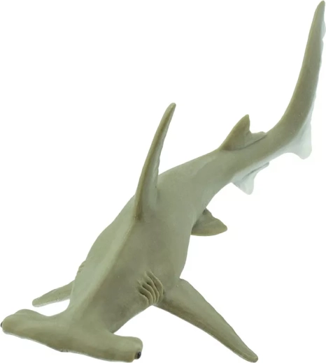 Tête typique de requin-marteau et forme réaliste