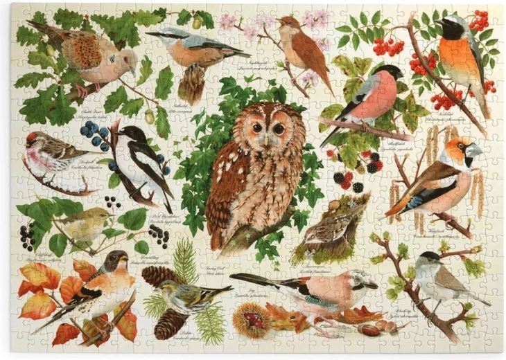 Puzzle Oiseaux de la forêt, 500 grandes pièces