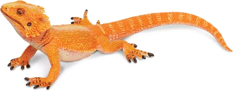 Des détails réalistes comme un véritable dragon barbu