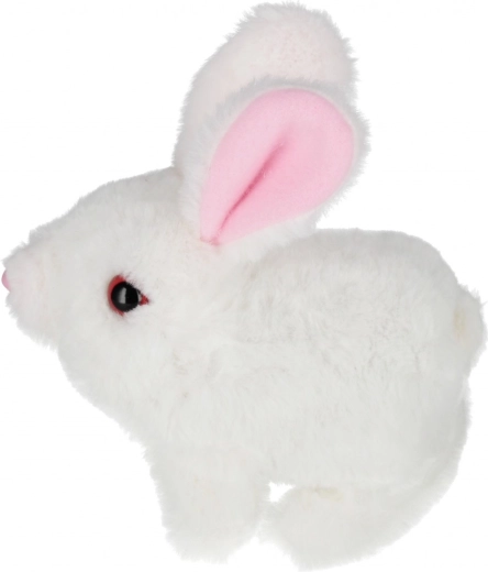 Choix parmi trois couleurs