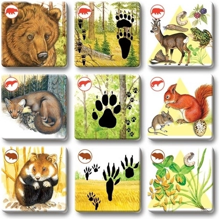 De belles illustrations qui captivent