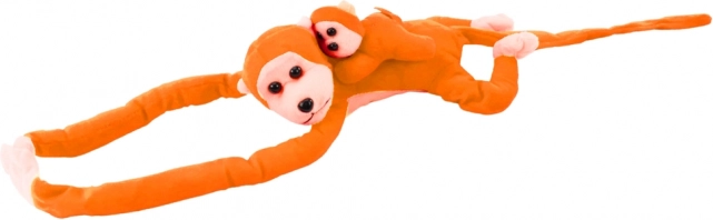 Singe avec son petit