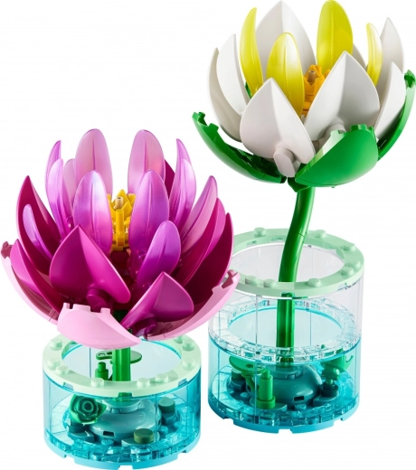 Décoration d’intérieur et cadeau pour les amoureux de la nature